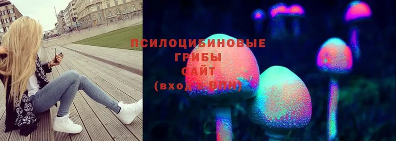 Псилоцибиновые грибы Psilocybine cubensis  MEGA как войти  Красавино 